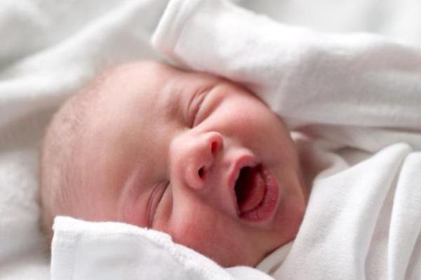 宝宝的聪明大脑，跟妈妈孕期营养有关系！吃什么？看这里