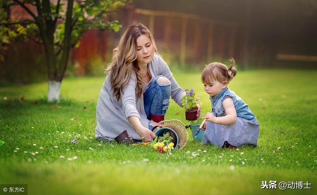掌握孩子大脑5个秘密,培养天才不再是梦