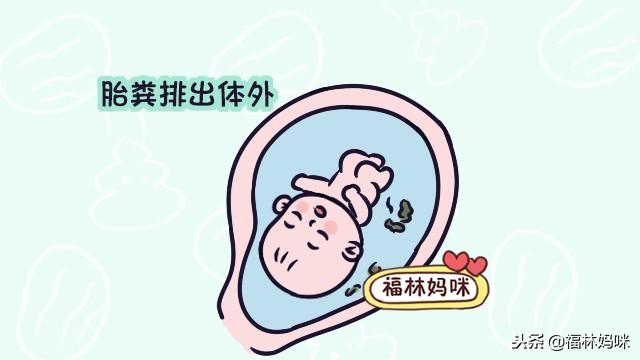 胎宝宝最害怕羊水变浑浊！孕妈妈做好这几点，羊水才能更清澈！