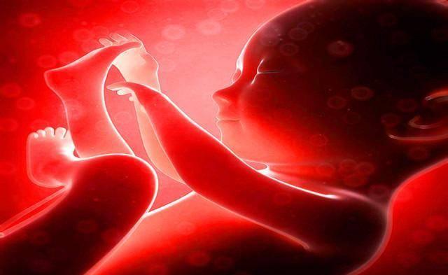 宝宝的聪明大脑，跟妈妈孕期营养有关系！吃什么？看这里