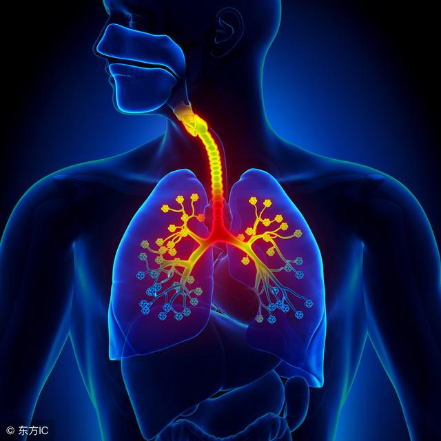 这15个坏习惯，常致小儿气管卡异物！防不胜防，贴家中墙上警示！