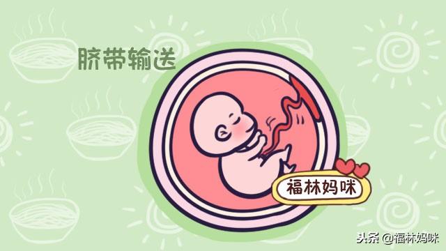 孕妈有这3种症状，赶紧加餐吧，这是胎宝宝饿了给你发信号呢