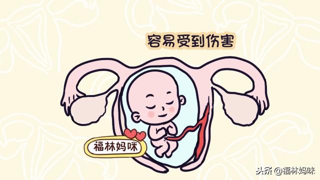 怀孕后，这4件事最伤子宫，对胎儿和自己都不好，很多孕妈还在做