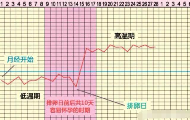 备孕时，身体的这3个“变化”，可能是你备孕成功的信号！