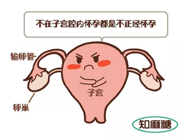 怀孕这事儿吧！得挑个好地方……