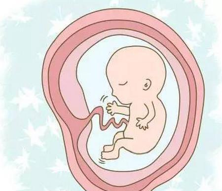 胎动宝宝在肚子里乱踢？最后一点其实是在“求救”