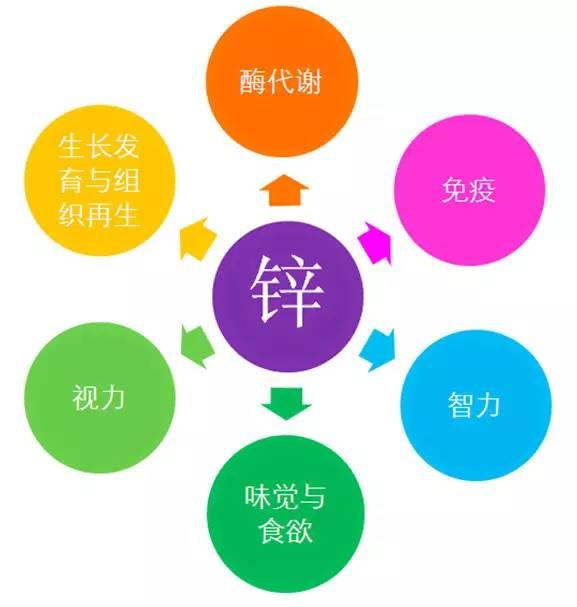 别光给宝宝补钙！宝宝缺锌危害更大！宝宝缺锌的症状及补锌食谱