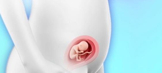 怀孕19周，胎儿有多大？孕妈知道后，去了市场，买了这种水果