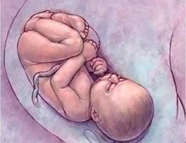 孕期准妈妈做好这13件事，能让胎儿开心，发育更健康！