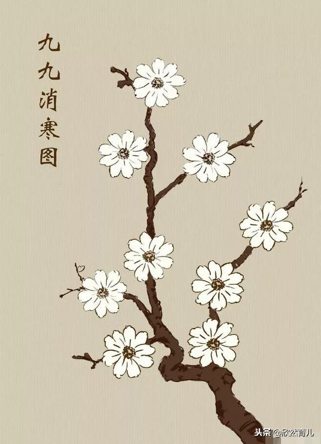 温暖冬至，除了吃饺子，聪明妈妈还给了孩子这些东西