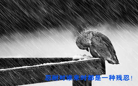 美国著名“棉花糖的实验”告诉我们，你离成功还有多远~