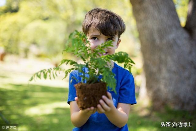 哈佛大学用11张图告诉你：幸福和不幸福的孩子到底区别在哪