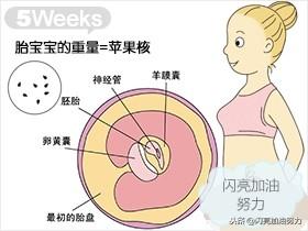宝妈怀孕1-40图解