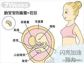 宝妈怀孕1-40图解