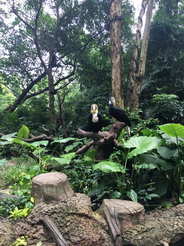暑期广州、珠海、澳门、香港亲子八日游