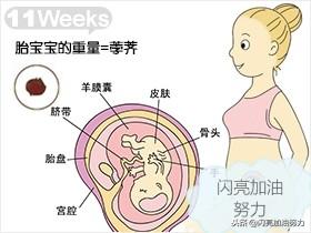 宝妈怀孕1-40图解