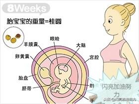宝妈怀孕1-40图解