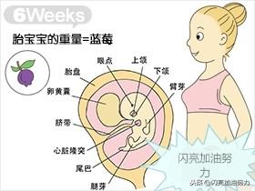 宝妈怀孕1-40图解