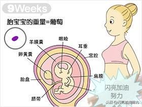 宝妈怀孕1-40图解
