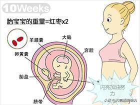 宝妈怀孕1-40图解