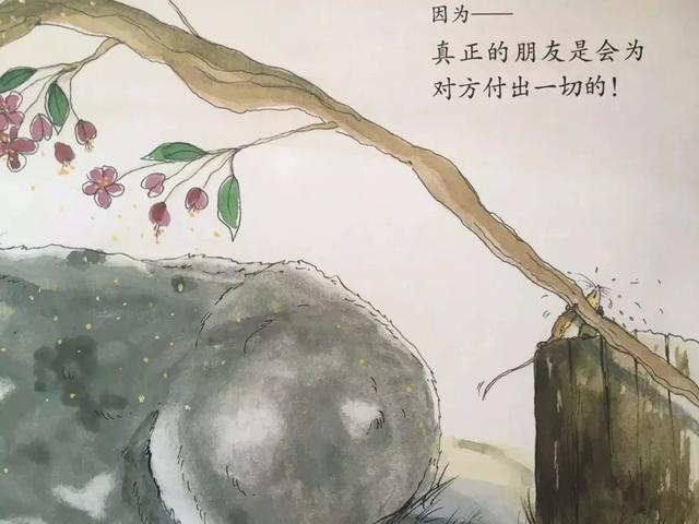 「中文有声绘本」《小毛驴和小老鼠》