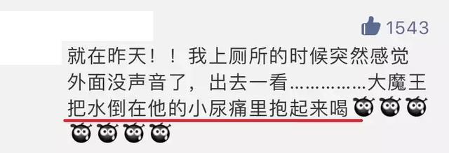最怕孩子静悄悄，肯定是在憋大招！