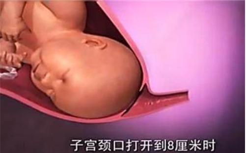 胎儿那么大，如何从那么小的产道出来？看完就知道女人有多伟大！