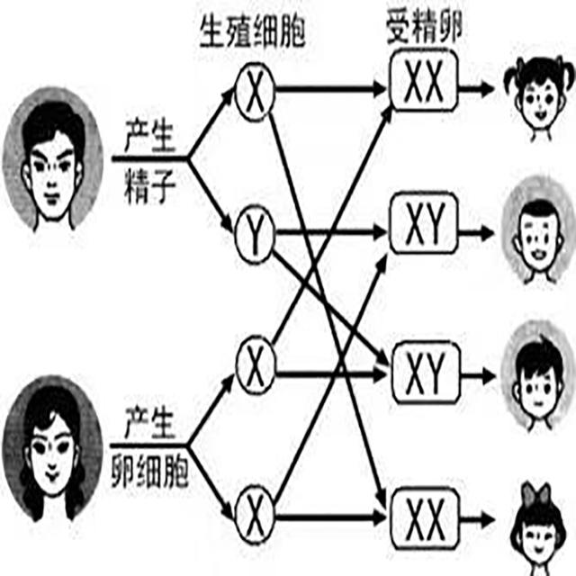 孕产说：怎么做生女孩的几率大？想知道吗？快来看看