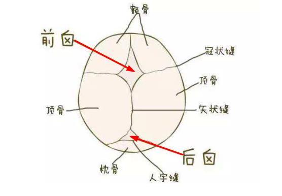 新生儿囟门又被称为“命门”，若有这4种情况，家长要重视