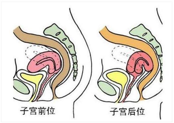 孕期，上怀和下怀，对胎儿来说有什么区别？看完你就知道了！