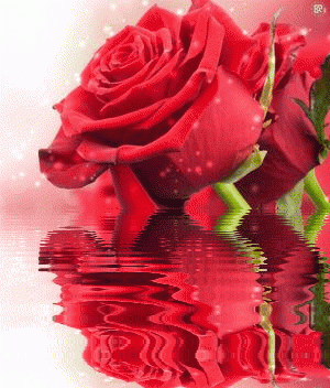 1月7，妈妈妈妈妈妈妈妈妈妈妈妈妈妈妈妈