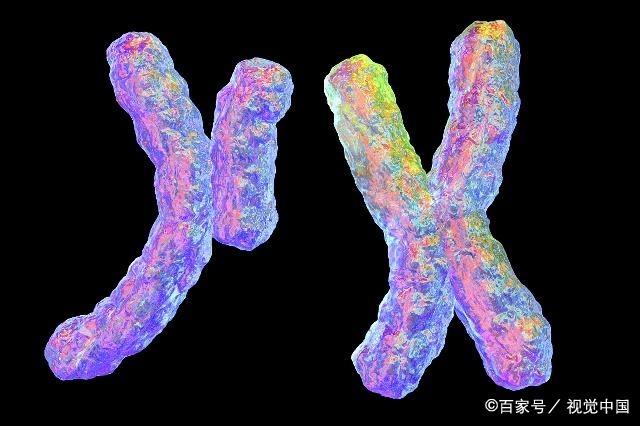 孩子的智商和身高，爸妈谁的影响力更大一些？看完觉得还挺准！