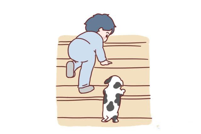 孩子被动物咬伤了，应该这么做！