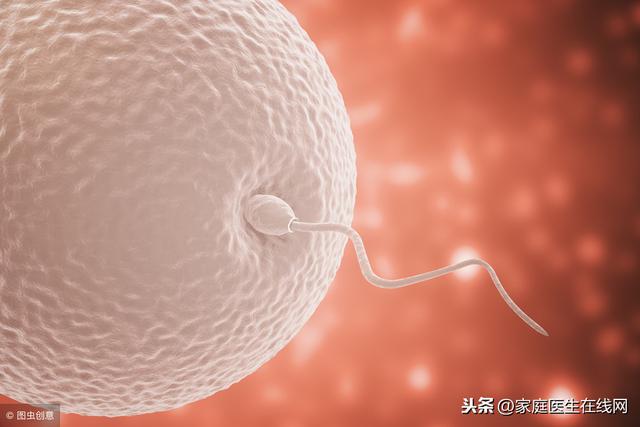 精子跟卵子结合了就能怀孕？别天真，其实还差最后一步