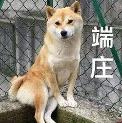 把娃交给爸爸带，不是妈妈心大，就是妈妈豁出去了