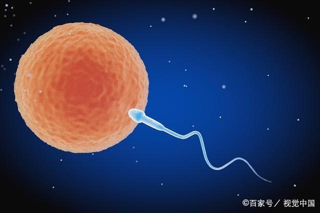 刚开始备孕，就顺利怀上了？可能是因为抓住了这3个时机！