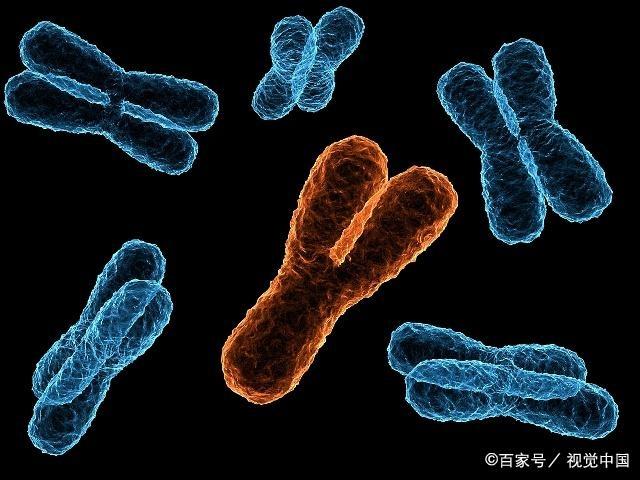 宝宝出生后，像谁更多一些？看看夫妻两人，谁的基因更强大吧！