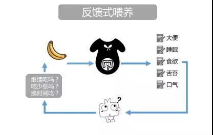 孩子长期积食便秘，怎么办？重要的事情说三遍——坚持反馈式喂养
