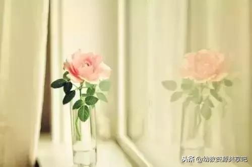 幼师们，一年下来，你累吗？