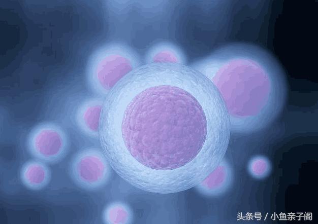 孕妇发生“胎停育”之前可能会有这些现象，不妨一看！