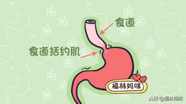 孕妈烧心，是因为宝宝正在长头发？准妈妈可以从这三个方面来应对