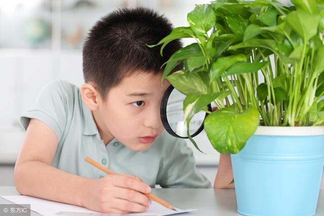 孩子6岁前必须立下的六条规矩