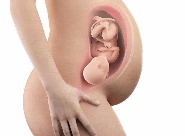 孕妇的这3个“特点”，和胎儿大脑发育有关，希望你能做好！