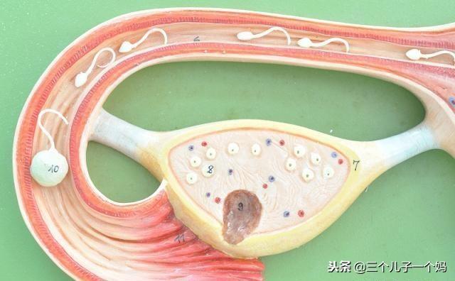 夫妻的最佳“年龄差”是多少？若相差这个数，就偷着乐吧，真幸运