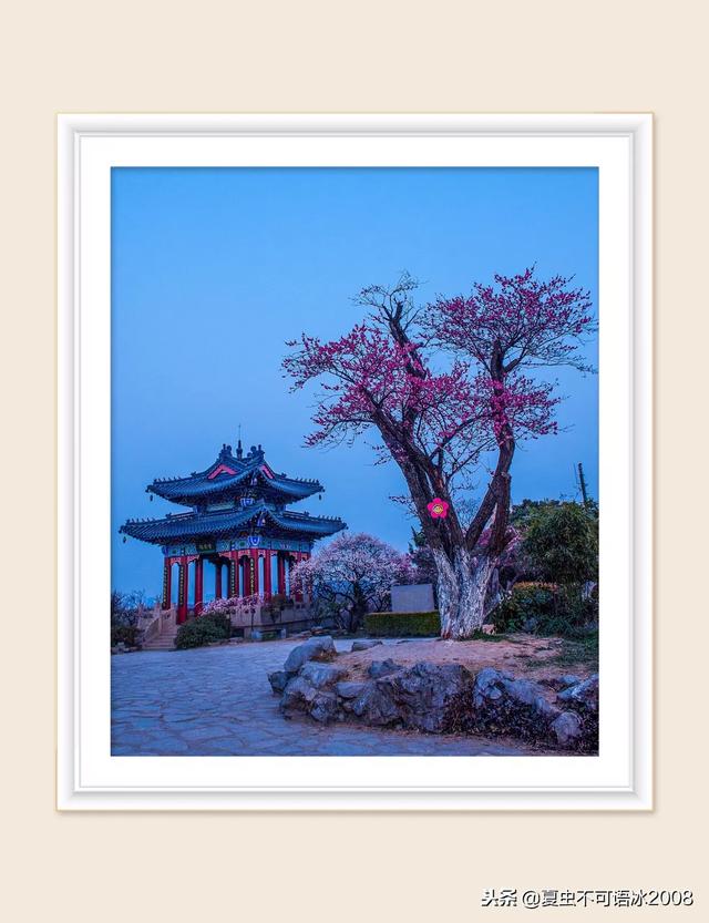 高智商的本质是什么？