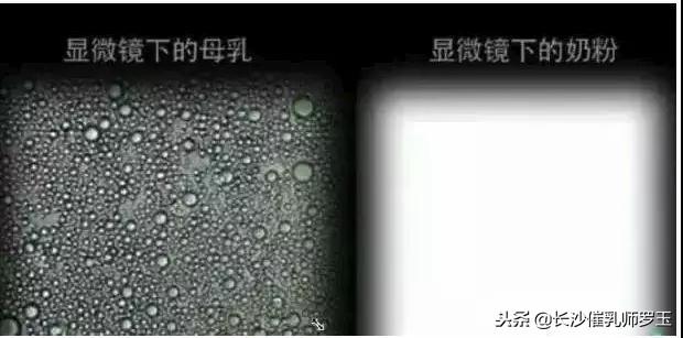 母乳的冷冻、储存与加热，学会这些，才叫懂母乳喂养！