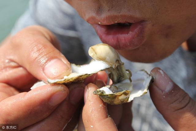 备孕期间，男性多吃这8种食物，能让“小蝌蚪”游得更快，更有力