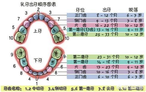 宝宝7个多月还没长牙，是什么原因？