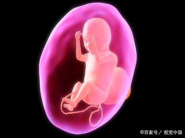 怀孕10个月，胎儿在肚子里除了睡觉，还会干啥？看完你就知道了！