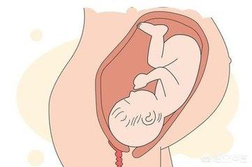 怀孕37+3胎儿双顶径84，是不是不正常，该怎么办？